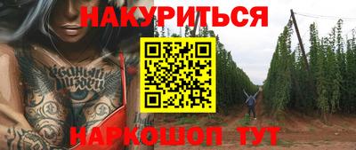соль ск Новозыбков