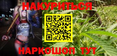 соль ск Новозыбков